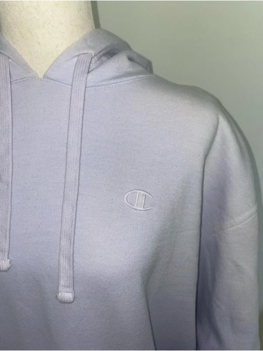 Champion Purple Ombré Hoodie